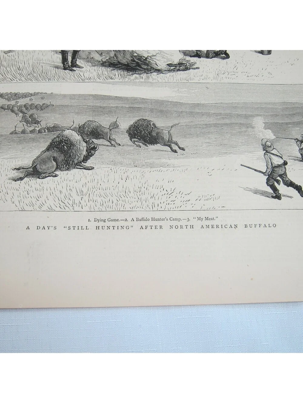Antique 1877 Print A Days Still Hunting After North American Buffalo The Graphic